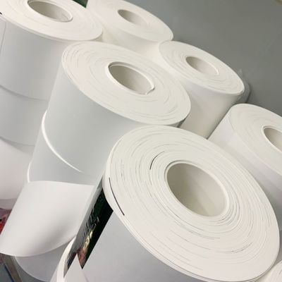 qualité  0.1µM - 5µM Pore Size Nylon (Polyamide) Membrane Filter Circles usine